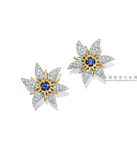Tiffany & Co. 蒂芙尼Schlumberger系列星状花耳坠,铂金及18K黄金镶嵌蓝宝石和钻石.jpg