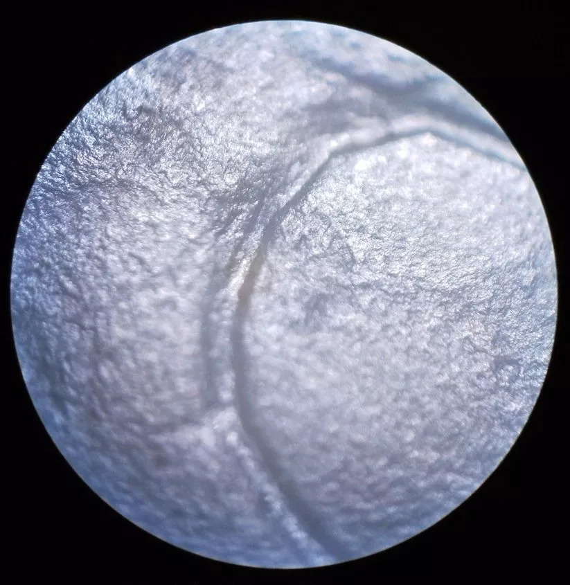 玩宝(青木赤火)章节目录 全文阅读 无弹窗 笔趣阁