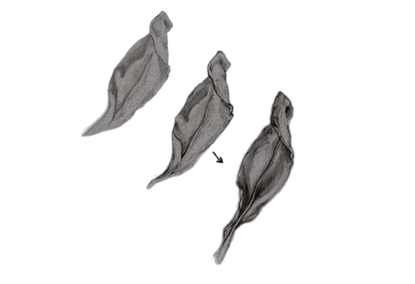 image040