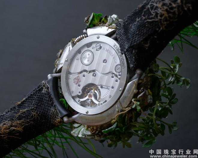 Moser Nature Watch_8327-1200_Back.jpg