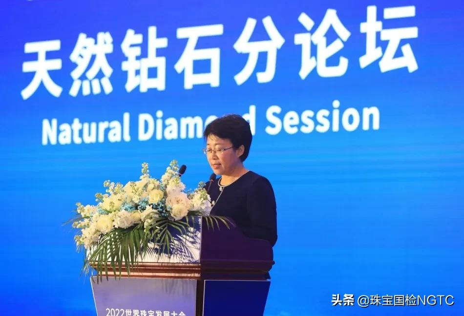 2022世界珠宝发展大会天然钻石分论坛圆满举办